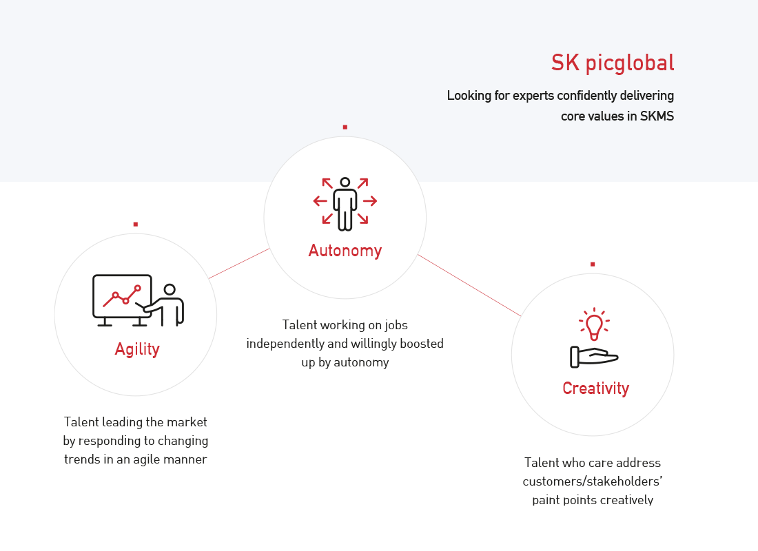 SK picglobal View EVP in detail